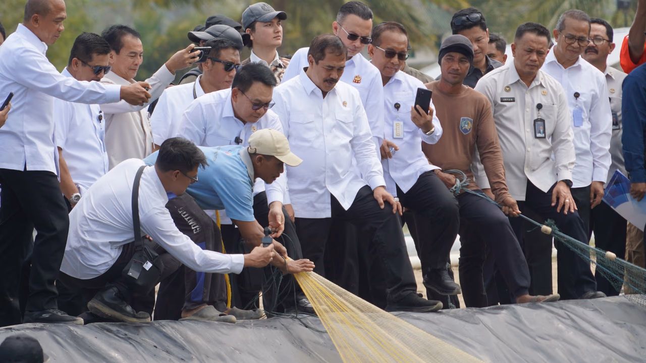 Menteri Imipas dan Kepala Staf Kepresidenan Panen Udang Vaname Nusakambangan, Siap Ekspor ke Amerika